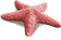 star_fish